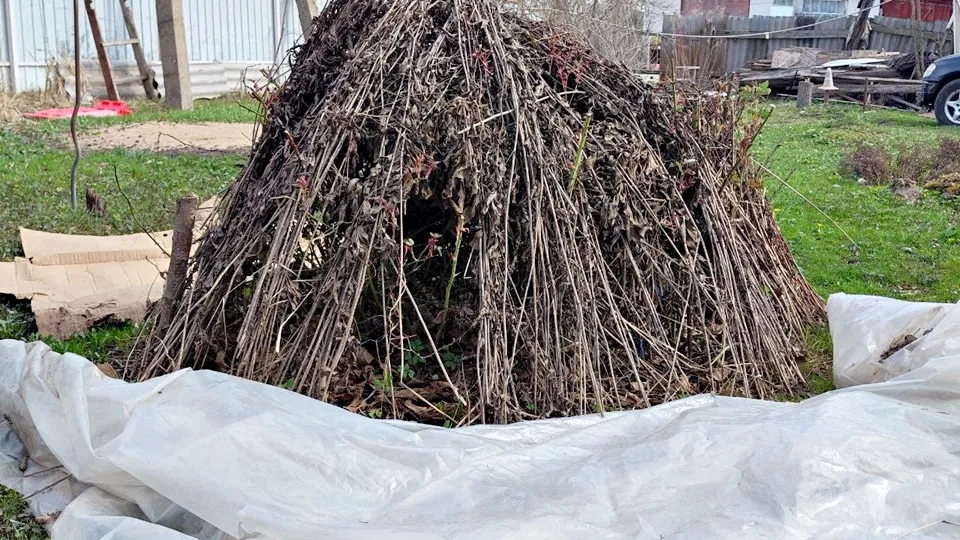 Фото: REGIONS/Алексей Селиверстов