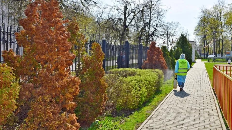 Фото: пресс-служба администрации м.о. Егорьевск