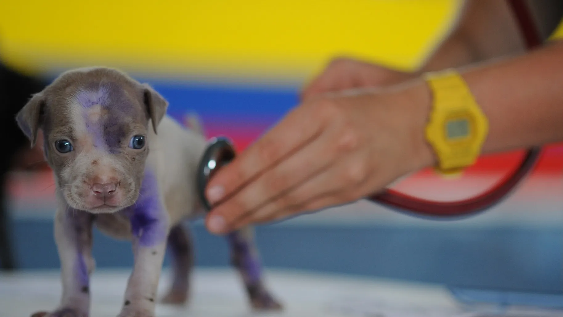 Фото: pxhere.com