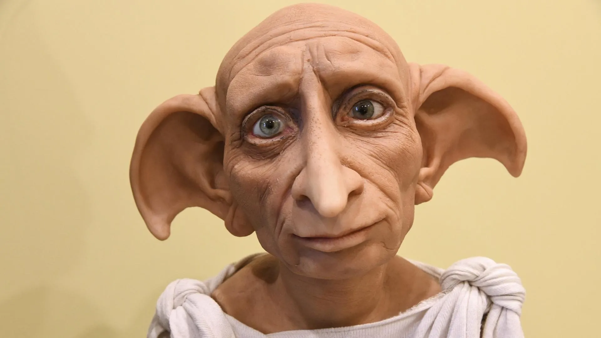 t.me/usadbakrivyakino