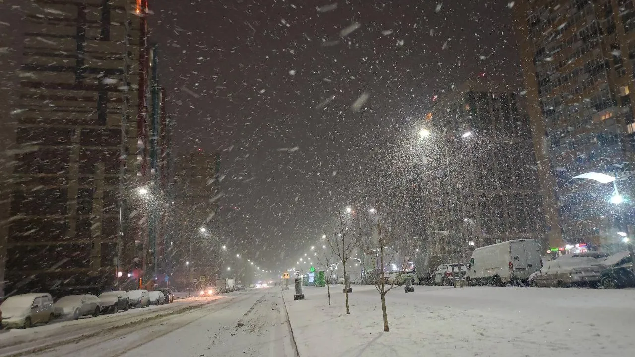 Метель в Ленинском. Фото: Пригород Лесное Ново-Молоково