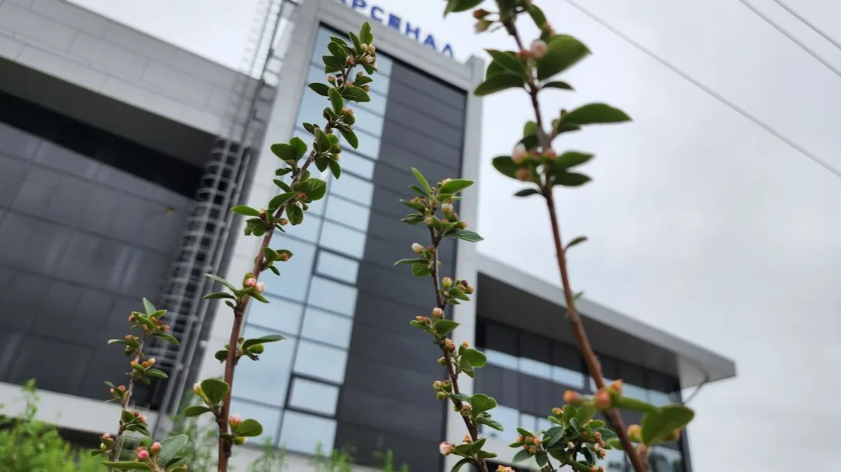 Фото: медиасток.рф