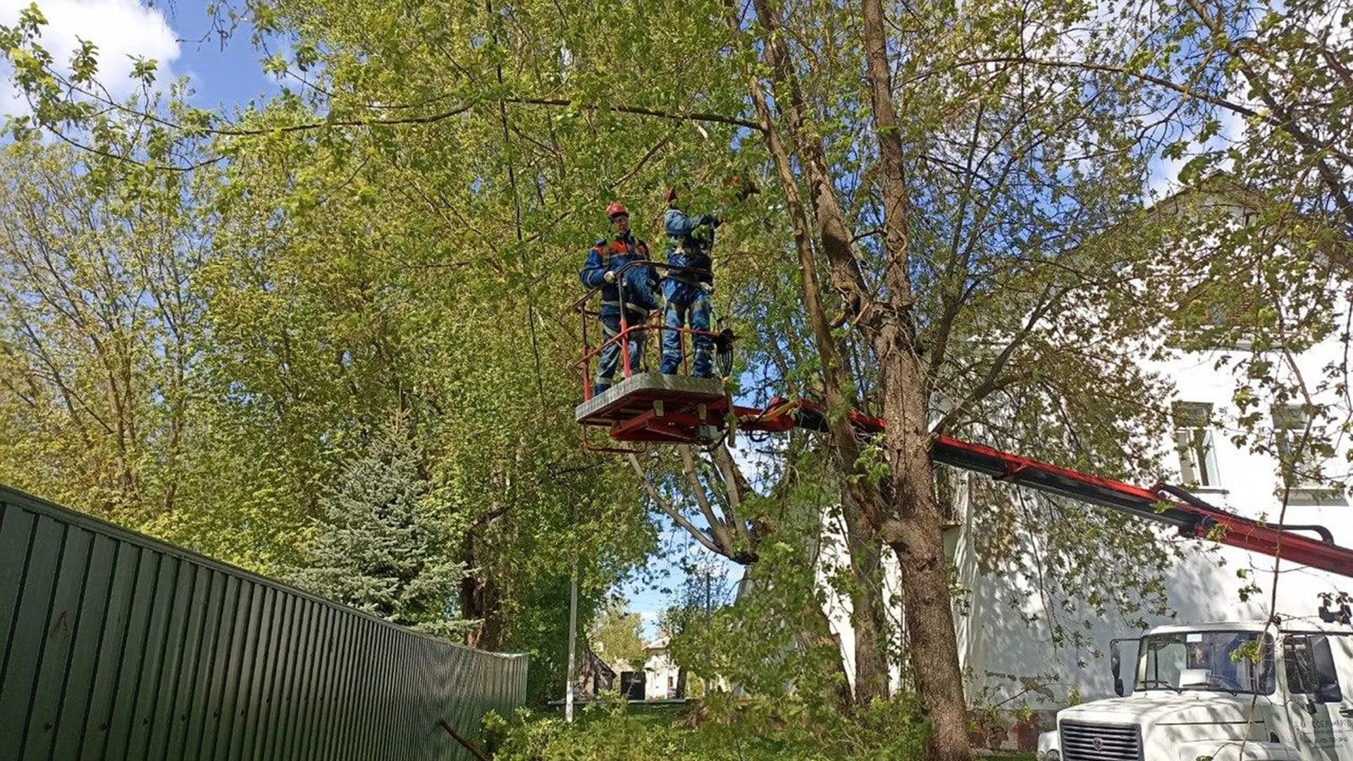 Фото: Мособлэнерго