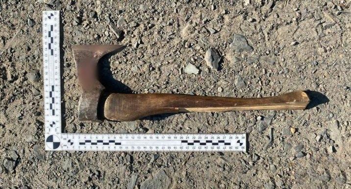 В Карелии задержали мужчину, топором зарубившего подругу матери