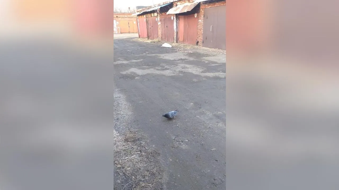 Валерий Сиднев