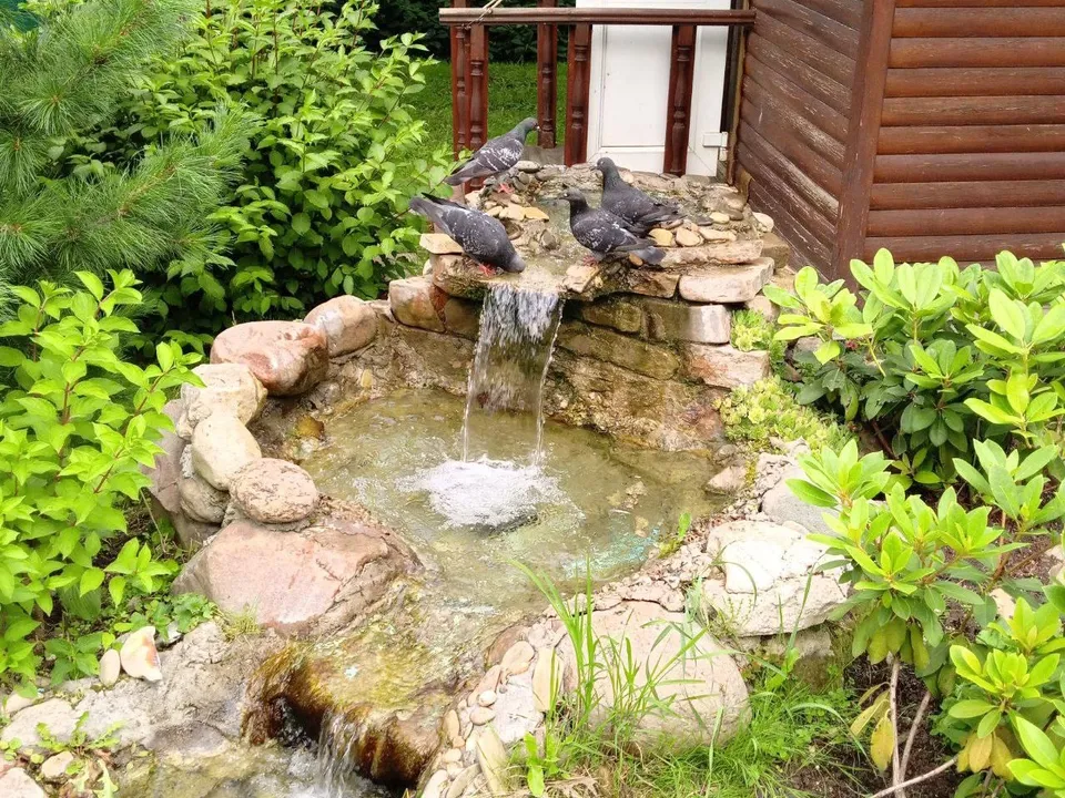 Прогулка по популярным местам Дмитрова. Фото:&nbsp;t.me/aktivnoe_dolgoletie_chg