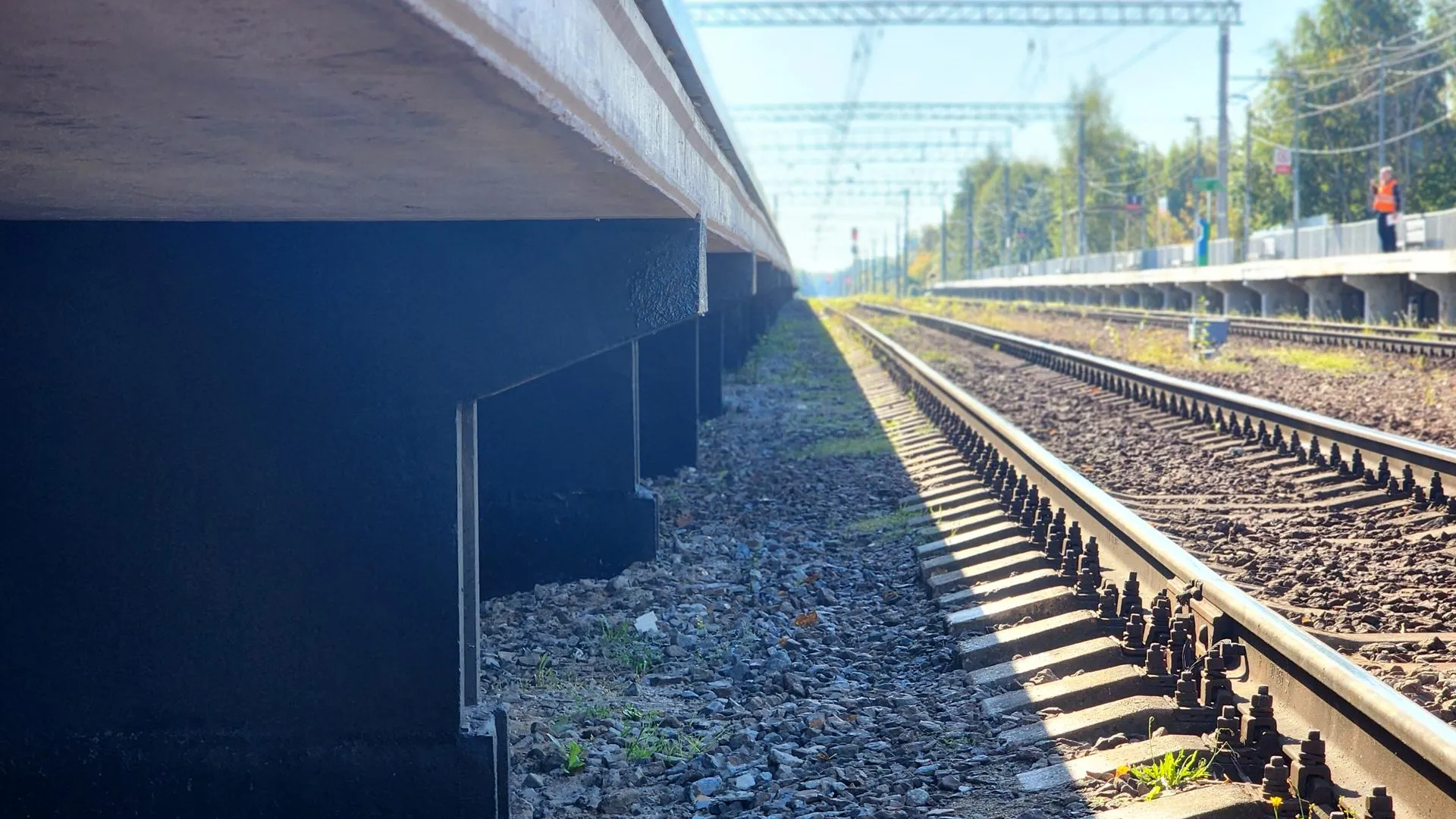 Фото: REGIONS/Полина Пахомова