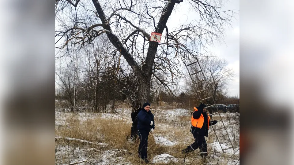 Фото: Дмитрий Елизаветенков