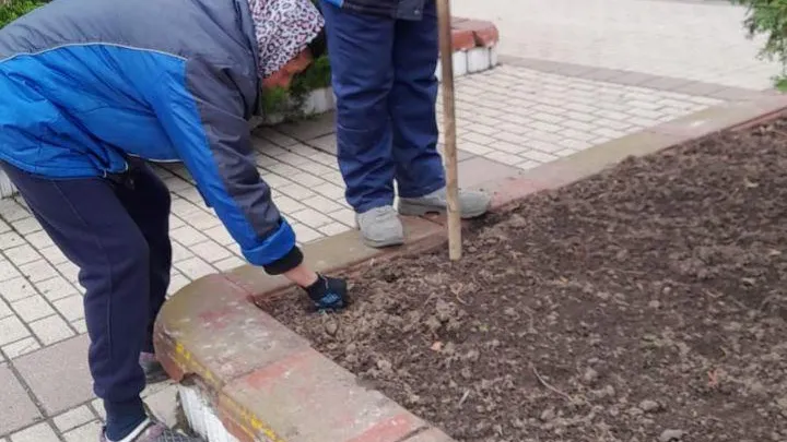 фото МБУ «Чеховское благоустройство»