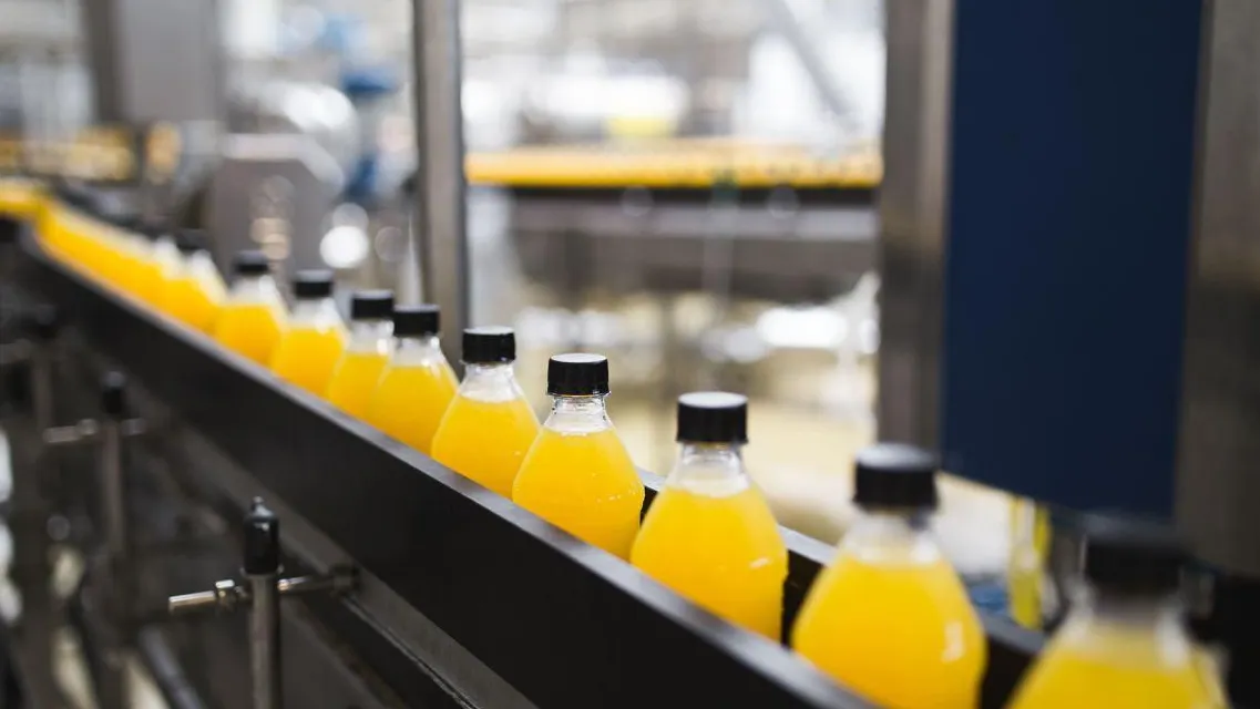 Фото: пресс-служба администрации г.о. Красногорск