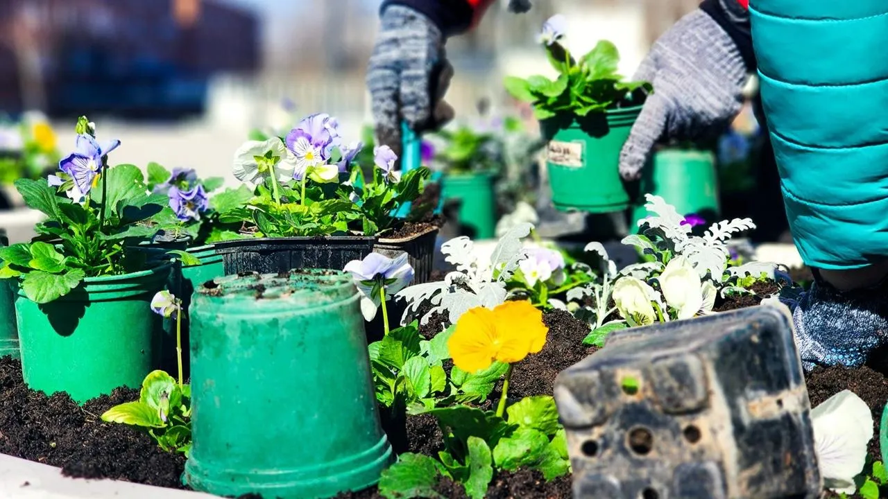 REGIONS/Мария Панина