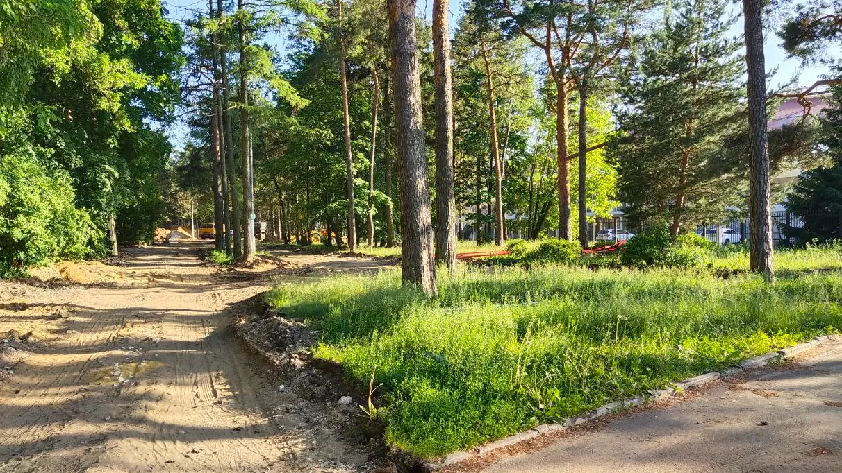 фото: Надежда Птицына