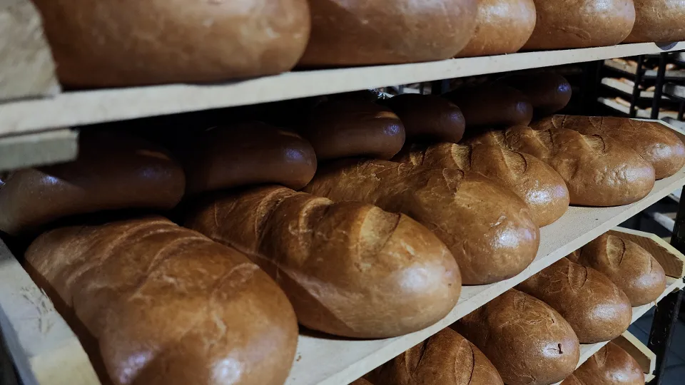 Фото: МедиаБанк Подмосковья/Екатерина Данилина