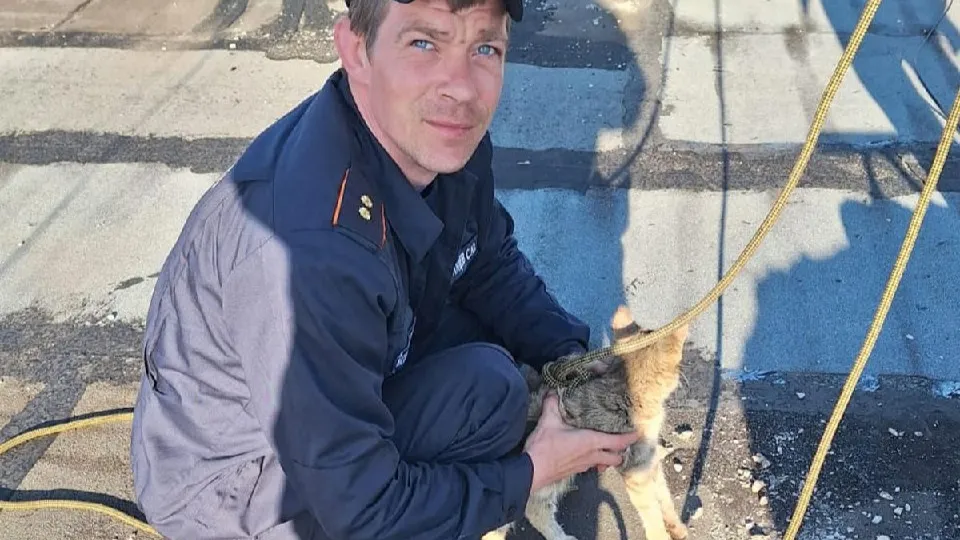 Фото: ГКУ МО «Мособлпожспас»