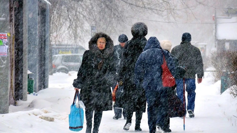 Фото: медиасток.рф