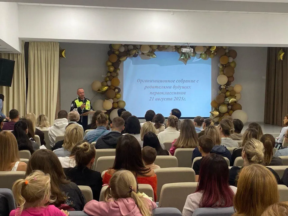 Фото: Госавтоинспекция УМВД России по г. о. Домодедово