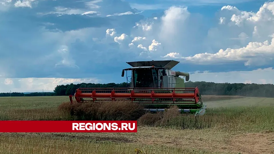 Фото: REGIONS/Екатерина Елисеева