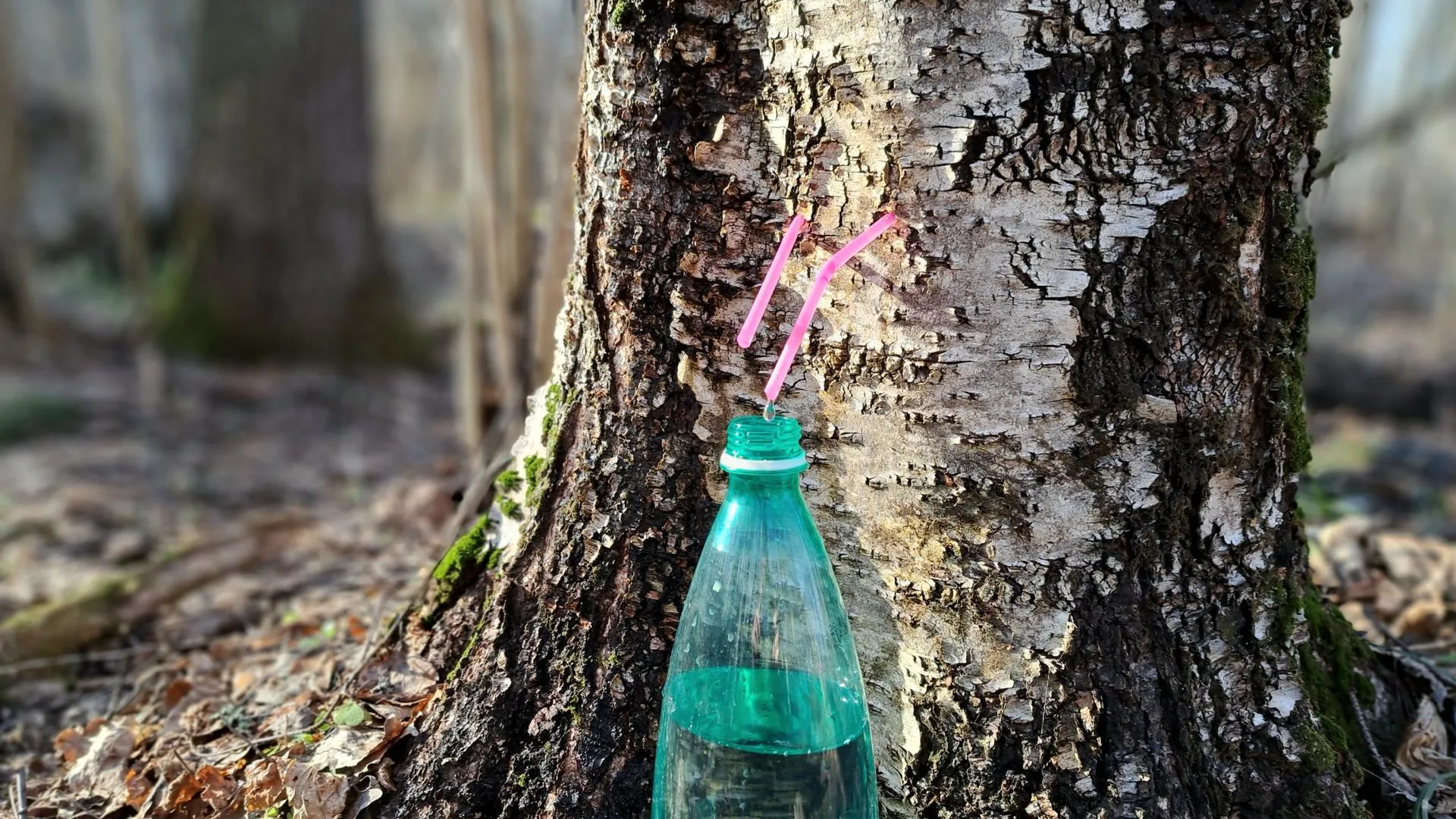 МедиаБанк Подмосковья/Игорь Панов