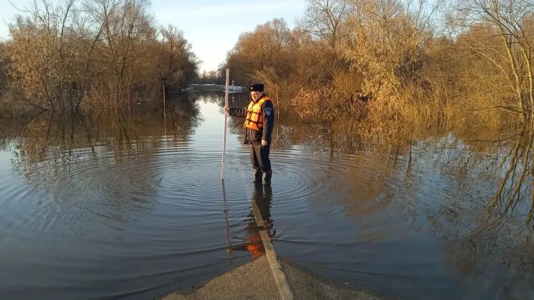 ГКУ МО «Мособлпожспас»