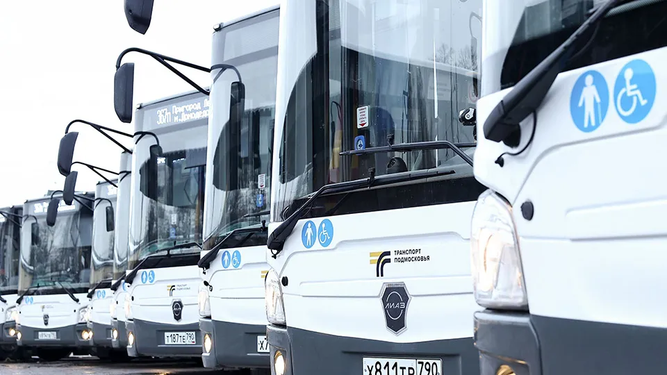 Фото: Пресс-служба губернатора и правительства Московской области