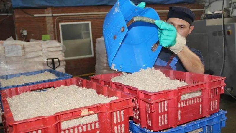 Производственно-складское здание мясоперерабатывающего комбината построят в Подмосковье