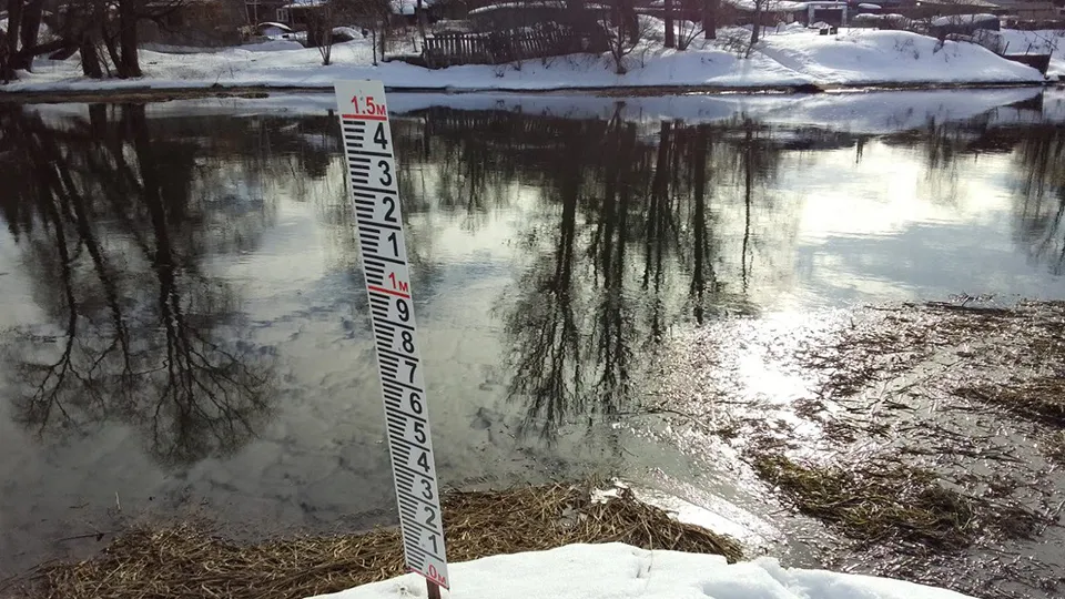 Фото: Яна Шаливская