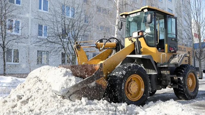 фото: администрация Орехово-Зуевского г.о.