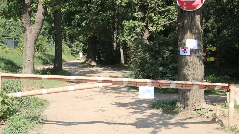 Фото: Алексей Грызлов