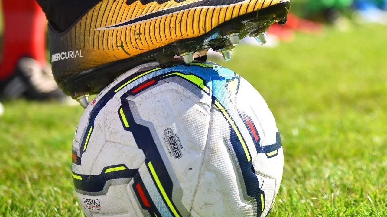 Фото: пресс-служба администрации г.о. Химки