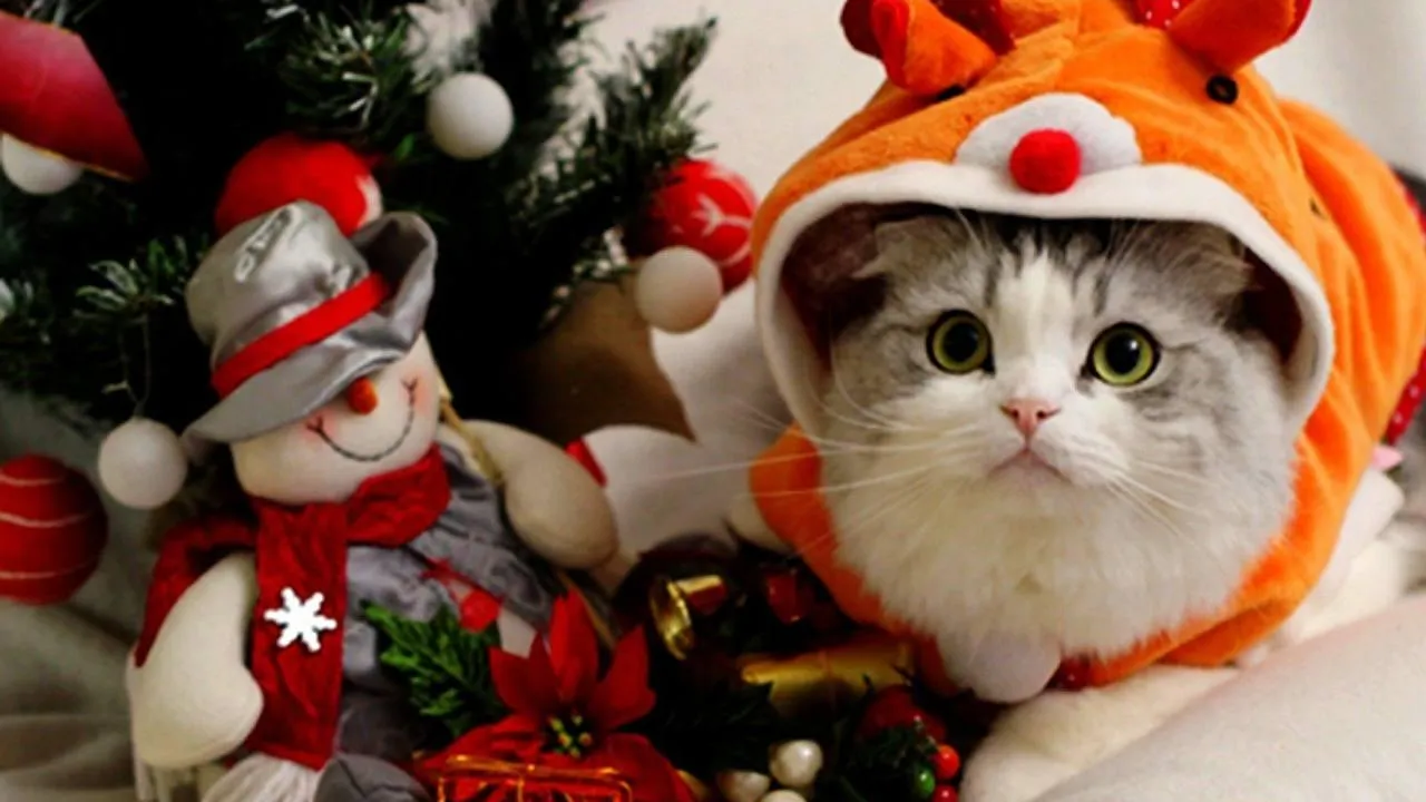 фото:соцсети