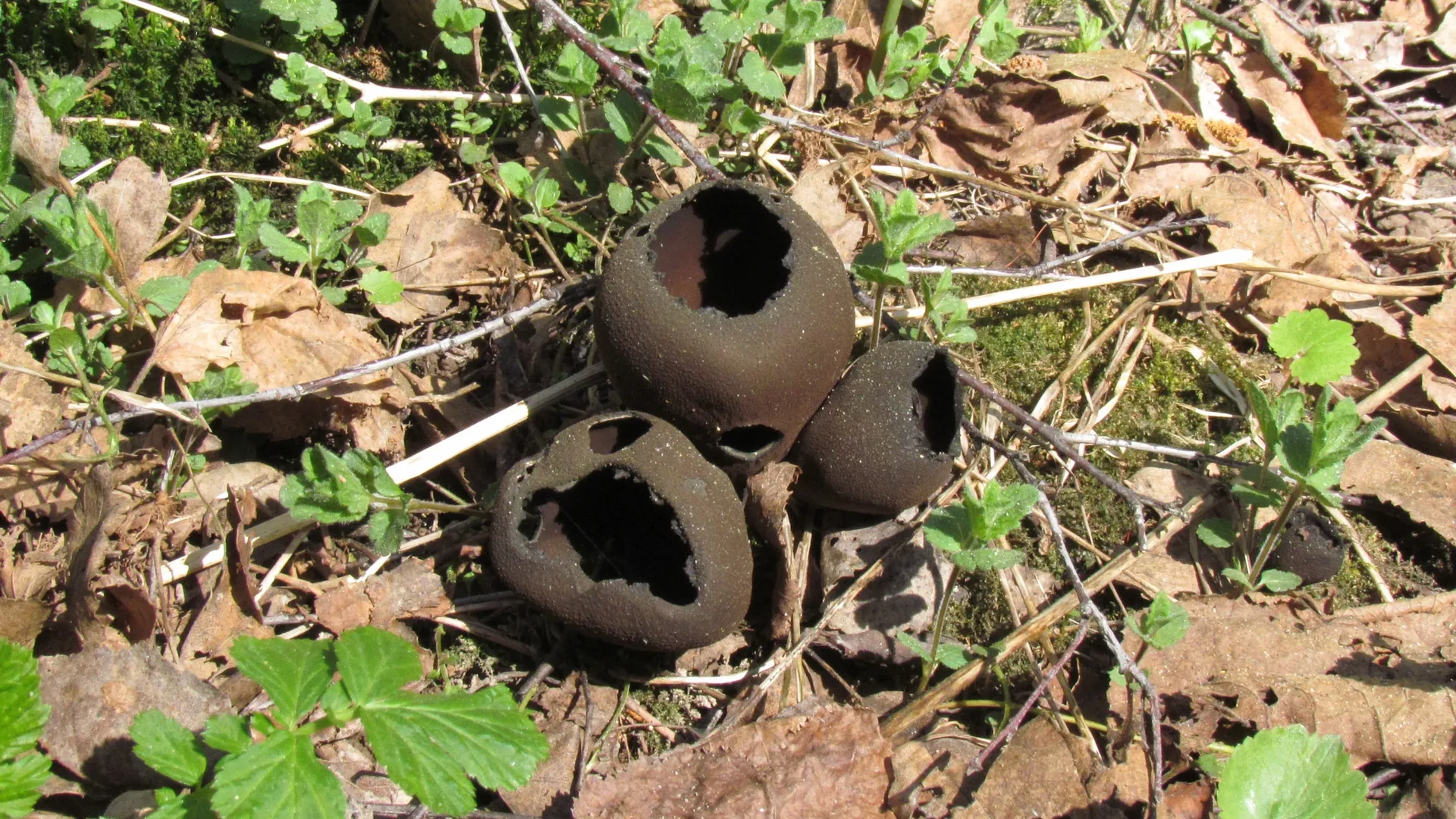 Фото: Надежда Маркина