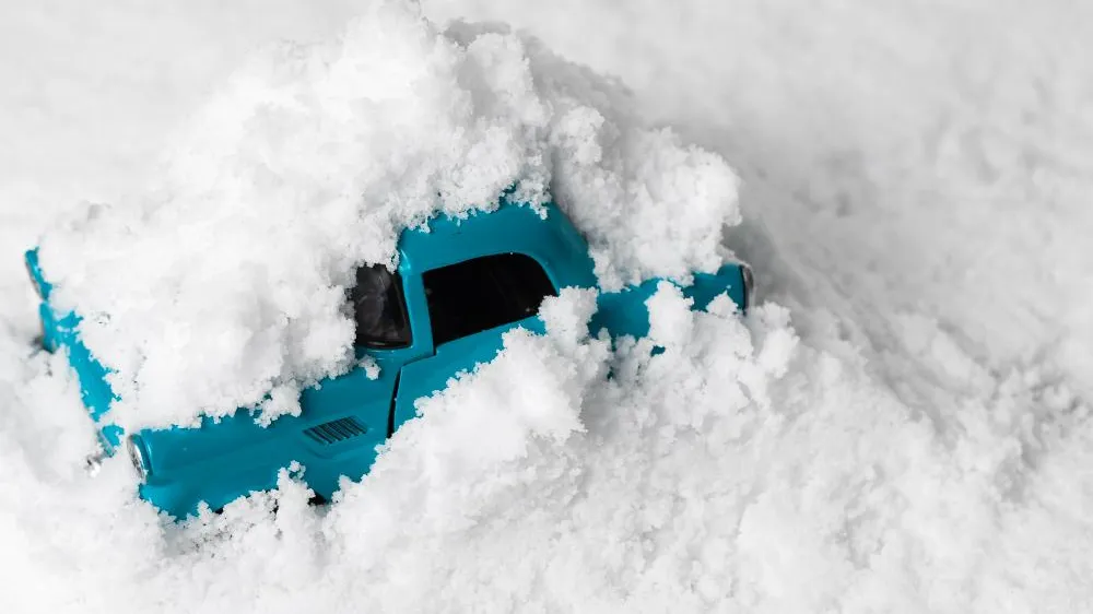 Фото: freepik.com