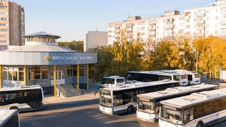 Фото: пресс-служба администрации г.о. Лыткарино