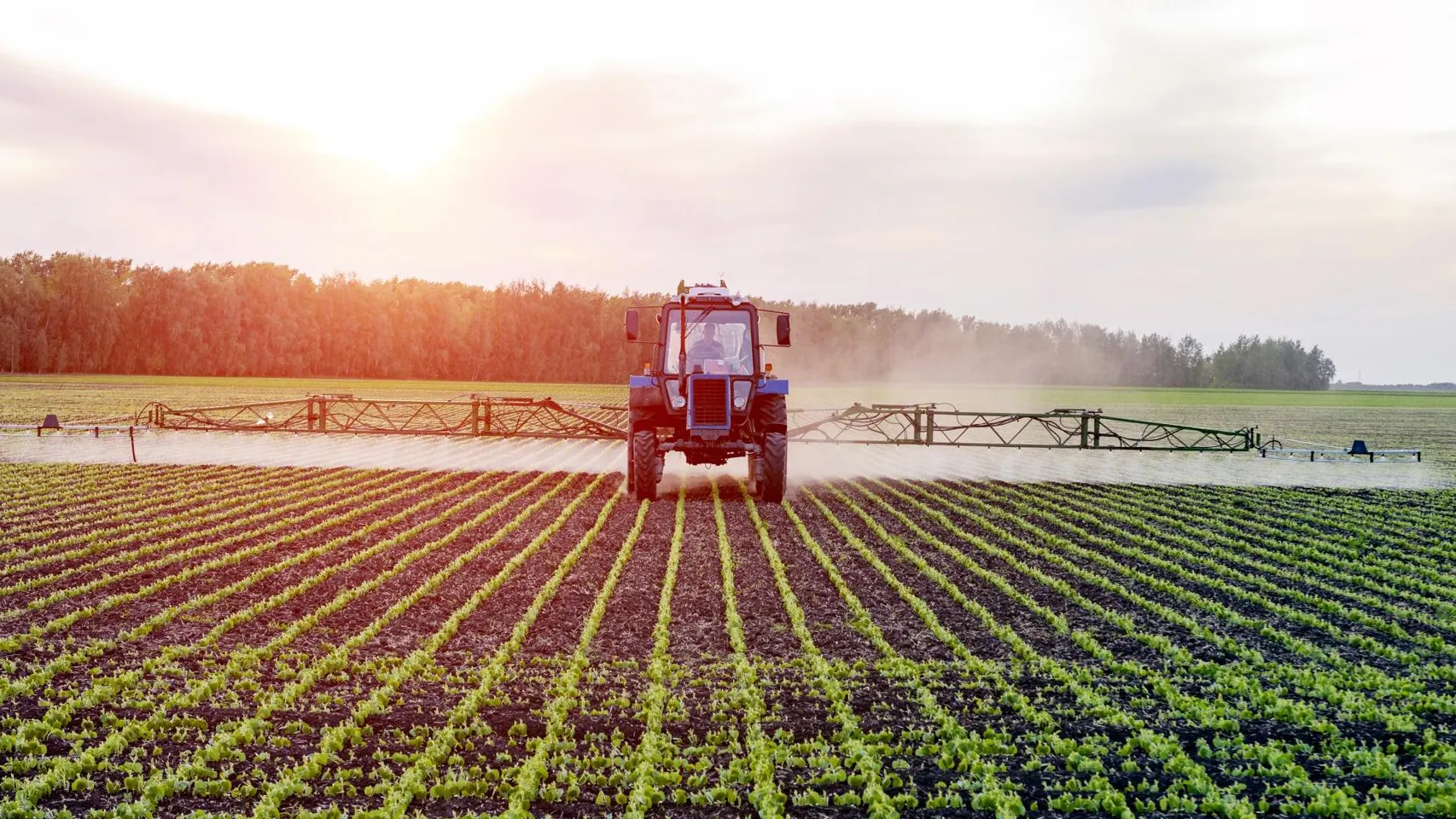 Фото: Компания «Щелково Агрохим»