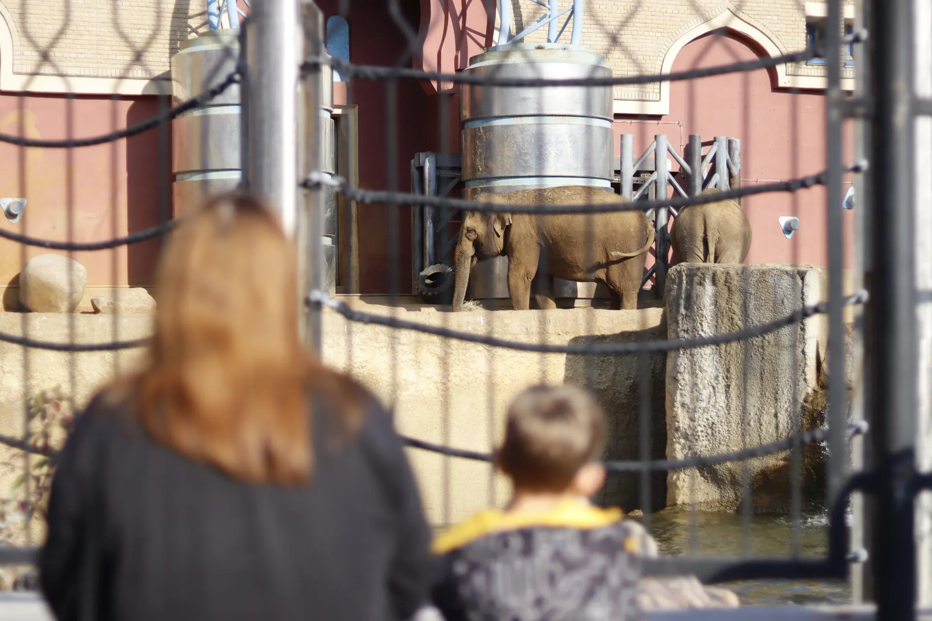 Фото: «Молодая Гвардия» г. о. Зарайск