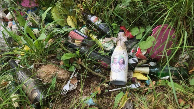 В Домодедово разыскивают молодоженов, устроивших помойку в лесу