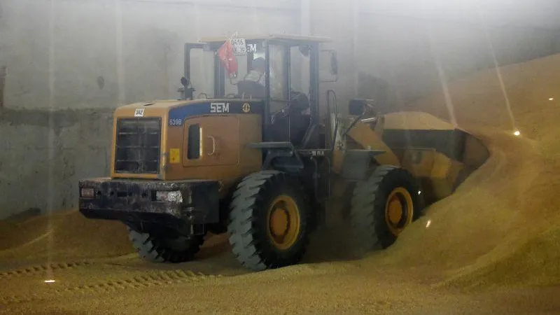 В Болгарии проведут акцию протеста против беспошлинного ввоза зерна из Украины