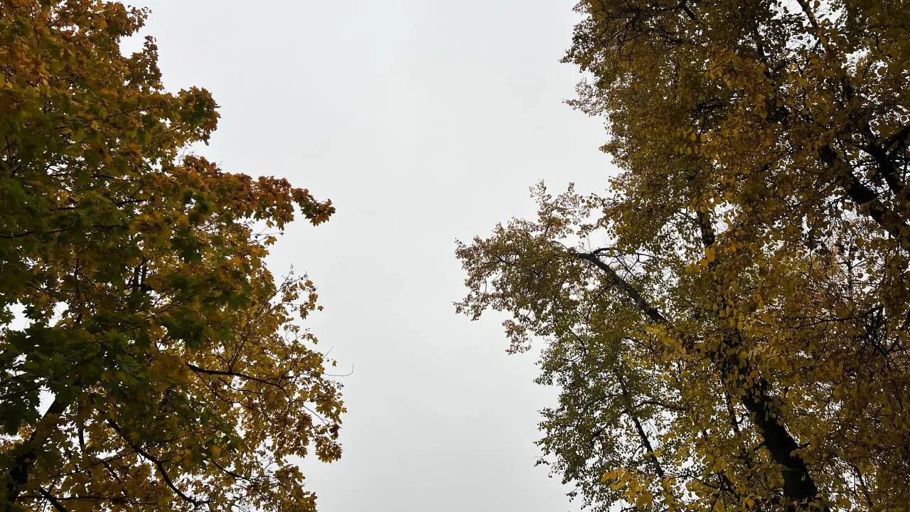 Фото: Елена Фурман