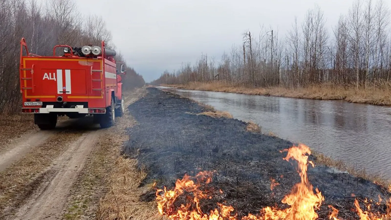 Фото: Комлесхоз МО