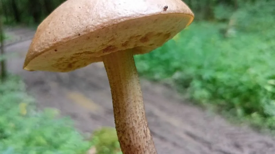 Фото: личный архив Елены Титовой