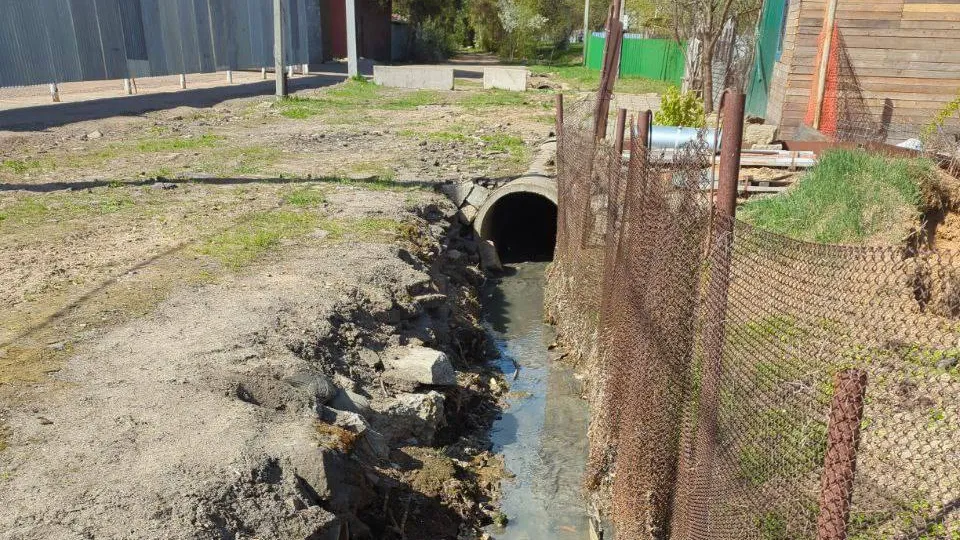 Фото: управление экологии городского округа Мытищи