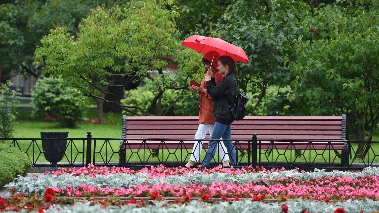 медиасток.рф