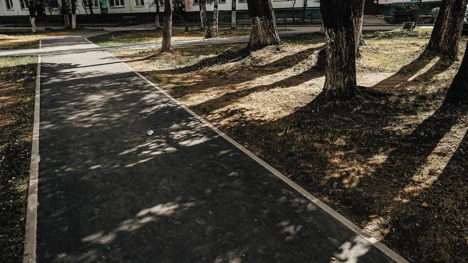 Фото: пресс-служба администрации г.о. Балашиха