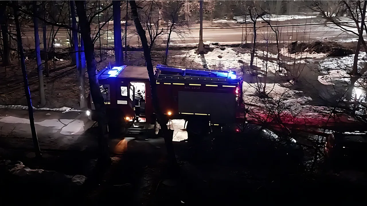 Владимир Острогожский