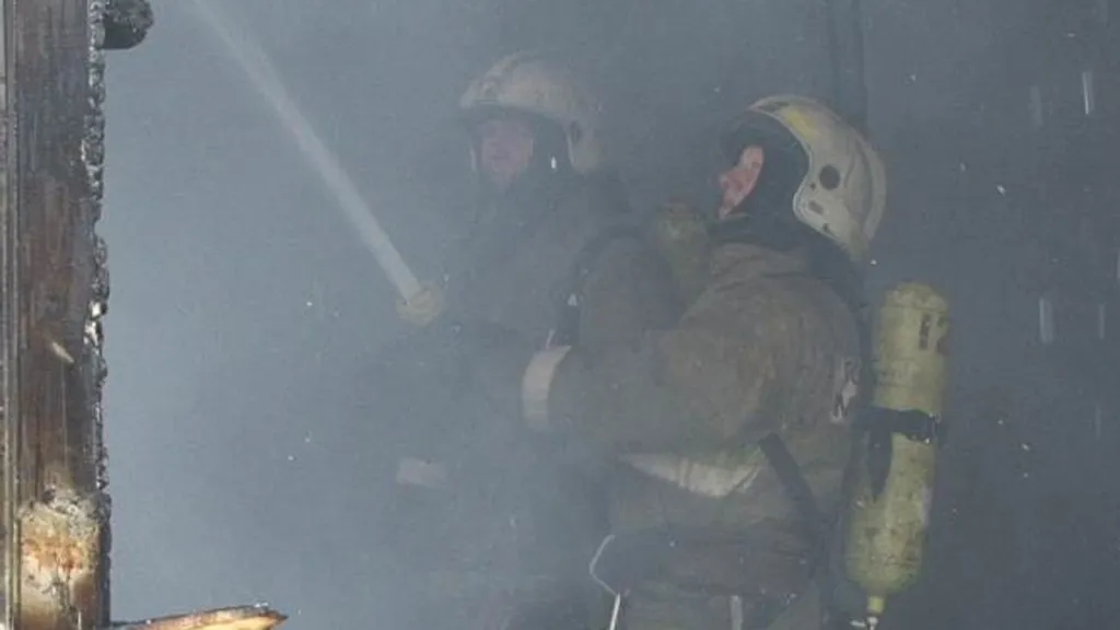 Фото: ГУ МЧС России по Московской области