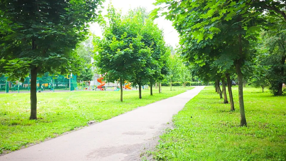 Фото: МедиаБанк Подмосковья/Данила Кирьянов