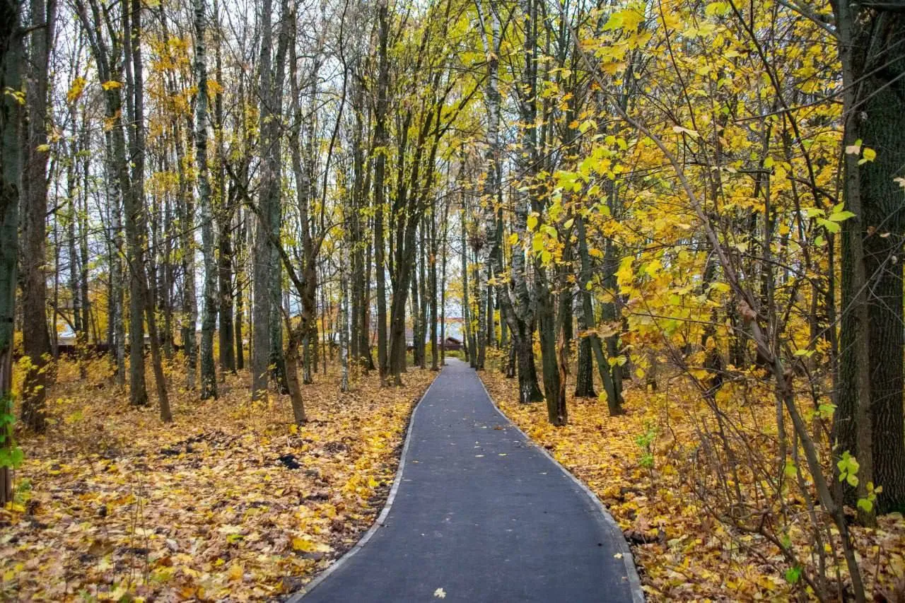 Фото: пресс-служба администрации г.о. Подольск