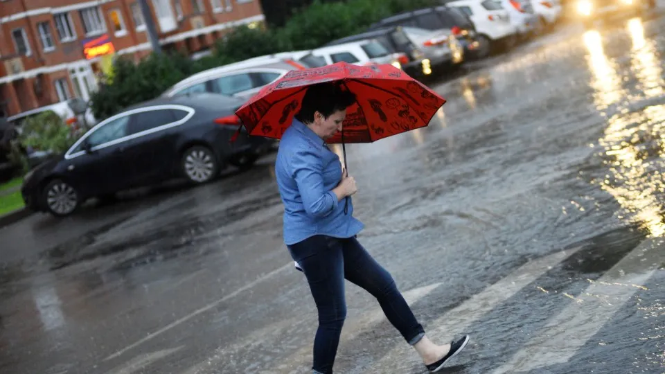 Фото: медиасток.рф