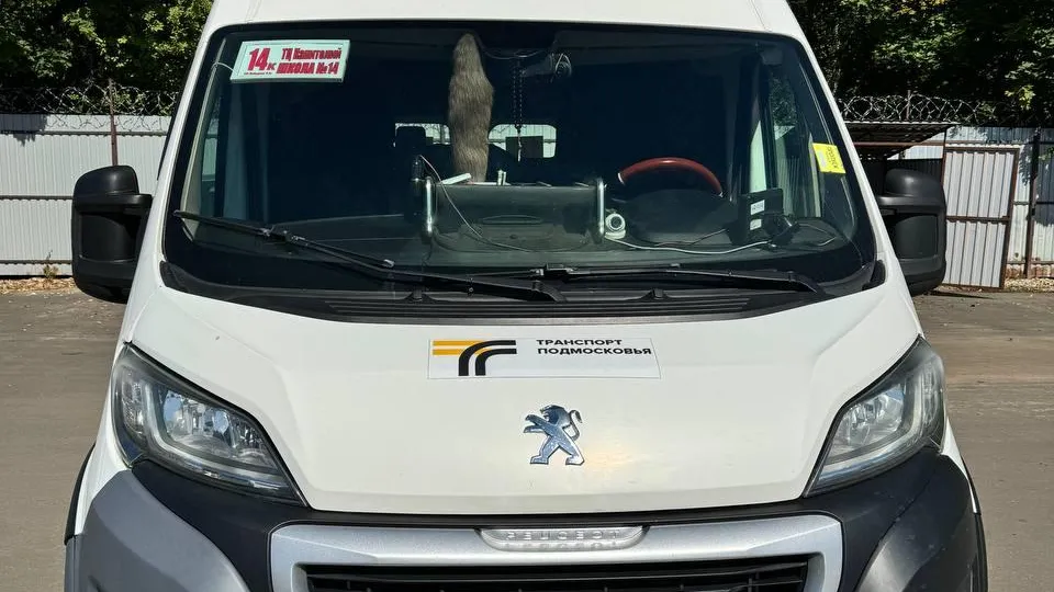 Фото: пресс-служба Администрации Сергиево-Псадского г.о.