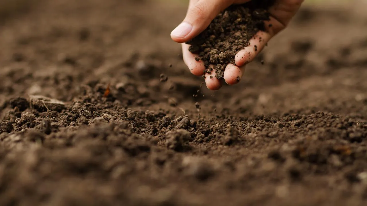 istockphoto.com/piyaset